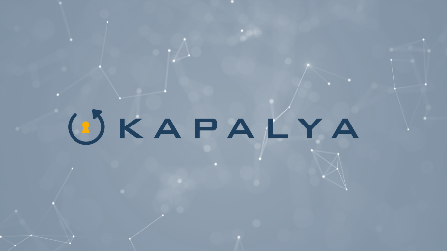 NSIN Alumni Spotlight: Kapalya